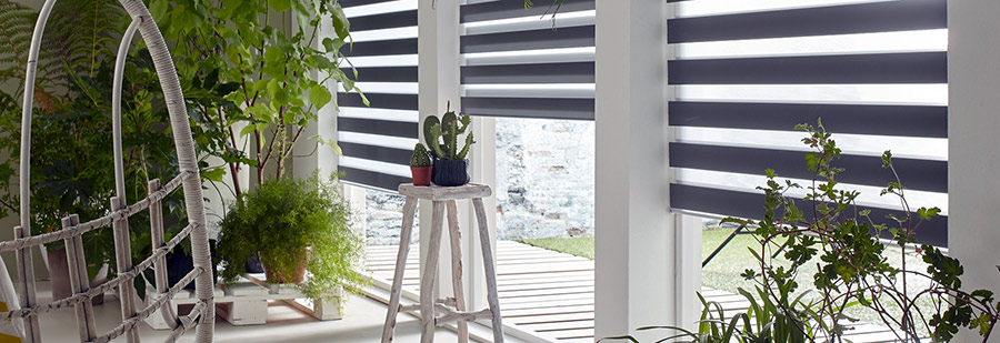 Rolety dzień noc Poznań